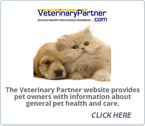 Victoria Veterinary Clinic | Vet Clinic in Regina, SK
