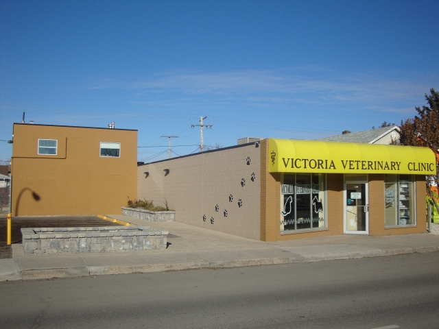 Welcome to the Victoria Veterinary Clinic